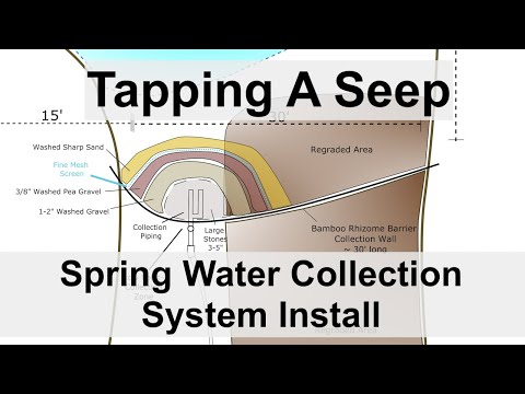 Tapping A Seep - Spring Water Collection System Install