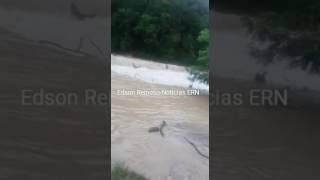 Río del Paraíso puente para cruzar de Villa Trina hacia Jamao al Norte
