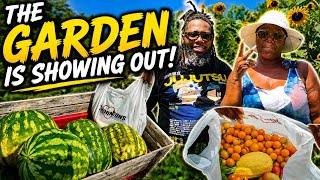 Our Summer Garden is Still Going CRAZY! 🌻🍉 The Harvesting Never Stops