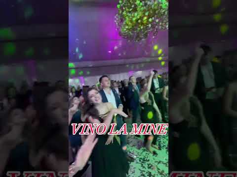 5 PIESE CARE FAC ATMOSFERA LA NUNTA 🔥🔥 #onebandshow #prestigeorchestra #livemusicconcept  #nunta