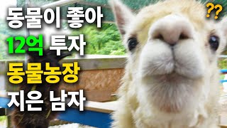 잘나가던 사업 그만두고, 시골 산속에 12억 투자한 이유..?! [알파카, 산양, 오리] 동물농장