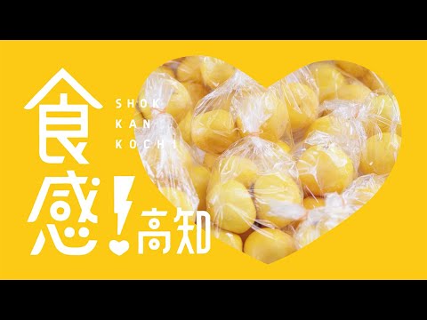 感！高知「食感！高知」篇