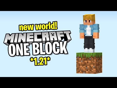 Can I Survive The NEW ONE BLOCK SKYBLOCK!?