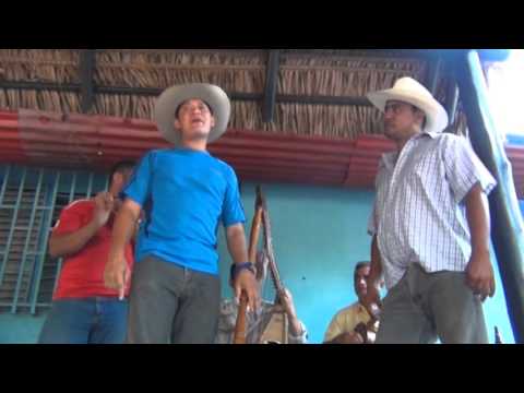 criollito de pura cepa