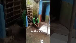 Download lagu ku kira apa #sketbor #ngakak #comedy #funnyvideo #ngakakkocak mp3