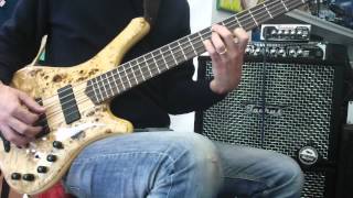 Video thumbnail for www.melacantomelasuono.it Test 2 Mayones Comodous 5 Sambawood + Taurus Qube 450 by Michele Di Carlantonio