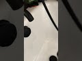 Noisy Shower