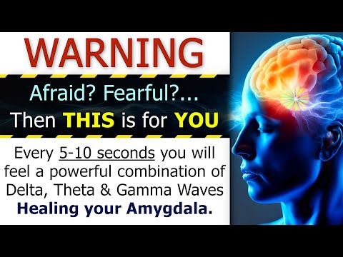 HEALS Amygdala DESTROYING Fear, Stress & Anxiety