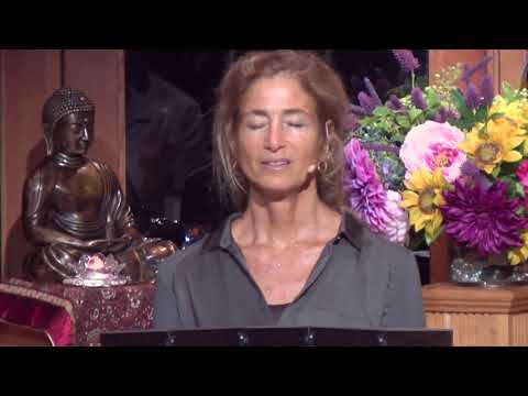 Tara Talks ~ Guided Reflection: Embracing All Beings with Compassion