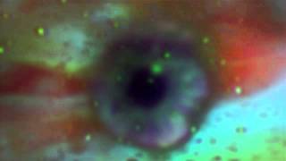 GOITIA DEITZ: ROMANCE (TOM FURSE HOUSE REMIX)