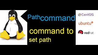 Unlock the Secret to Running Commands From Anywhere in Linux | Dailystudy