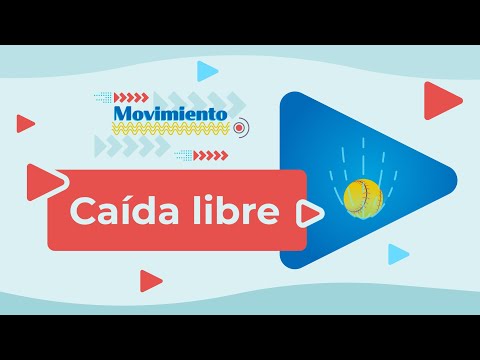 Free fall - uniformly accelerated motion | Physics