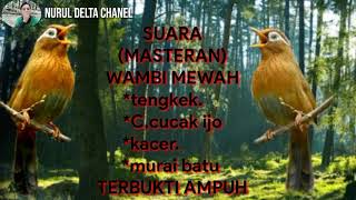 Download lagu Suara pikat hwamai wambi mp3