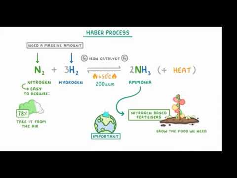 Ammonia Class X Part 1 on ZOOM