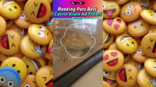 Ranking Pets Best Calvin Klein Filter!
