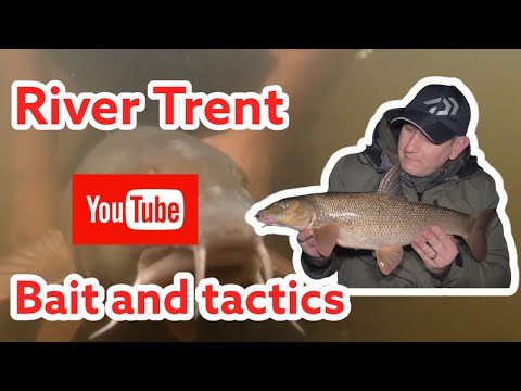 TRENT BARBEL BAIT AND TACTICS