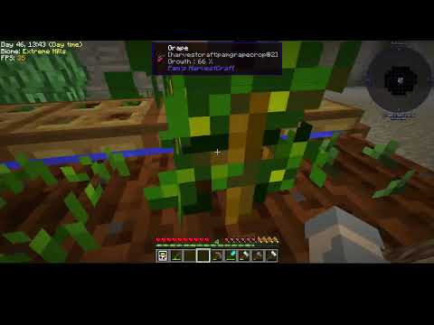 minecraft stoneblock episode 5