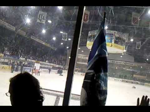 ambri -  scl tigers