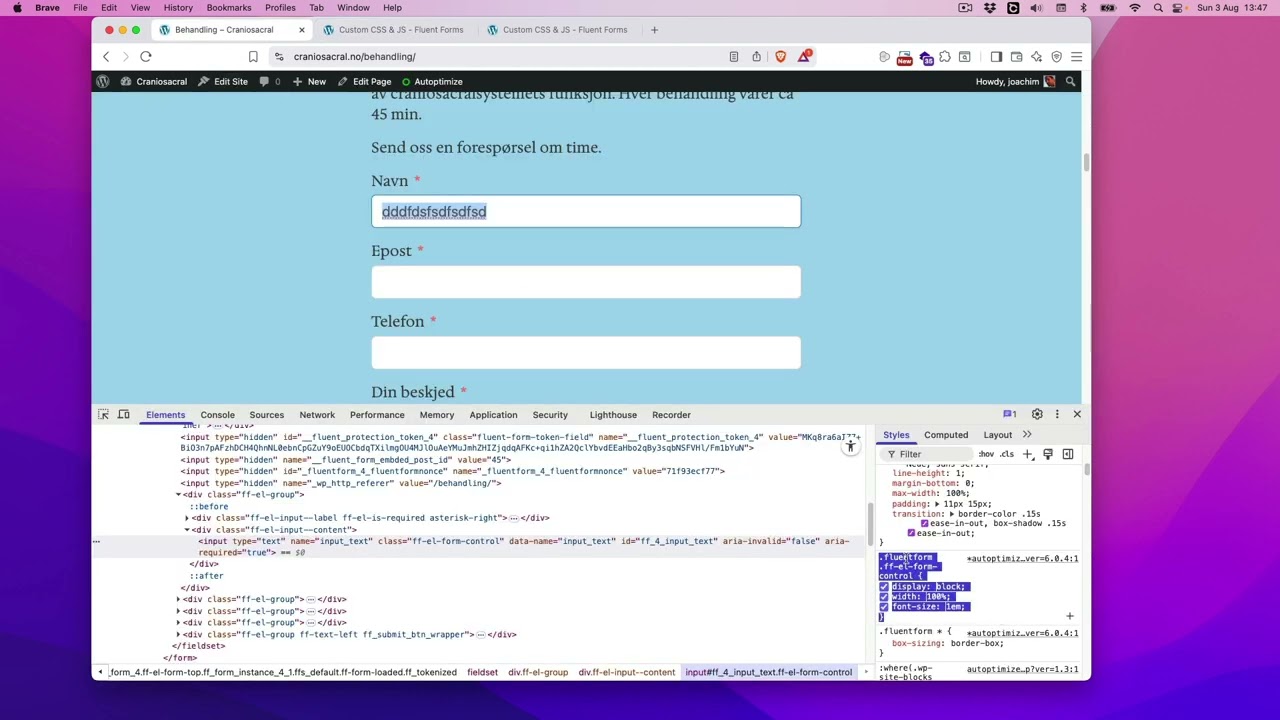 How to add Custom CSS into Fluent Forms making a bigger input text in form