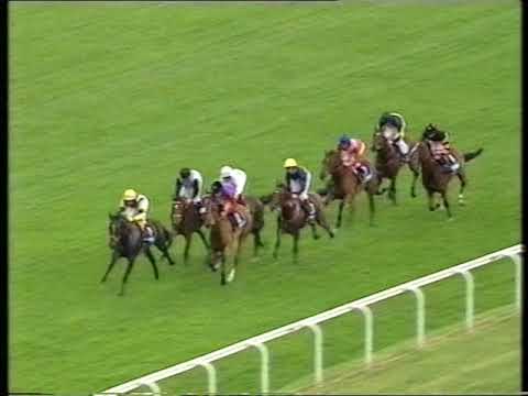 2000 Capel Cure Sharp Maiden Stakes