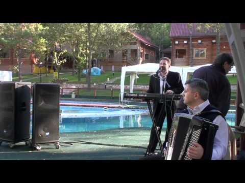 PETRICA ROTARU,OLEG ANTOCI,LILIAN GANEA- PETRECERE