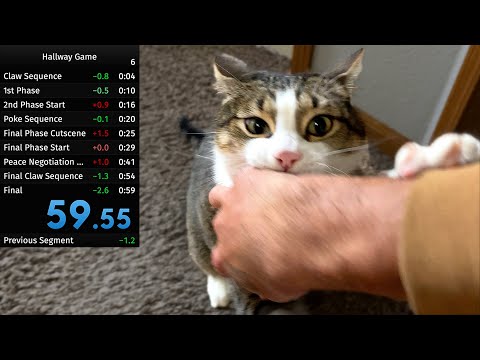 annoying my cat until he lets me pass in the hall speedrun (WR) (Good Ending)