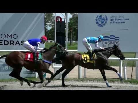 220211 c01 -  ZAHER  - HIPODROMO LAS PIEDRAS