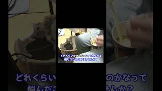 うどんには七味かける派？かけない派？