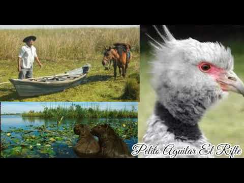 Los Hermanos Cuesta _ Puestero y Cazador 🦆🦌🐗