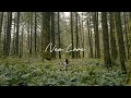 Ziggy Alberts - New Love (Official Music Video)