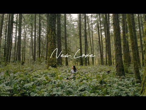 New Love - Ziggy Alberts