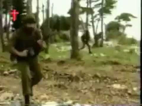 Lebanese Forces Alarm War