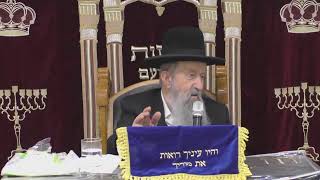 הרב בן ציון מוצפי • דקדוק הלשון בתפילה סודאי כסלו תשפ"ג