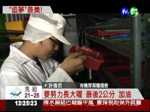 熱血追夢! 博士生學音樂做糕餅