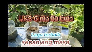 Download lagu U.k.S-'Cinta itu buta, lirik lagu mp3 Download lagu U.k.S-'Cinta itu buta, lirik lagu mp3
