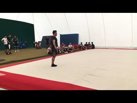 Esame ginnastica artistica, Facoltà scienze motorie Urbino, voto 30