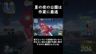夏の夜の公園は作業に最適♪　#日記 #ソニックレーシングクロスワールド　#sonicracingcrossworlds
