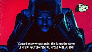 6주년 ⚡️ / The Weeknd - Nothing Without You [가사해석]