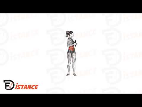 Exercice Rotation du Torse avec Swiss Ball