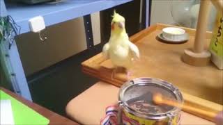 Giving bad people good ideas