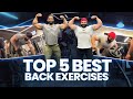 Top 5 Best Back Exercises | BIG BACK WORKOUT