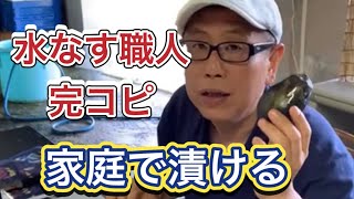 漬物職人 水なす漬け 家庭で漬けるプロの水なす漬けの味わい 手入れ 作り方 水抜き Inliving 失敗 糠床 酸っぱい 容器 موقع ويب حيث يمكنك مشاهدة مقاطع فيديو موسيقية مجانية