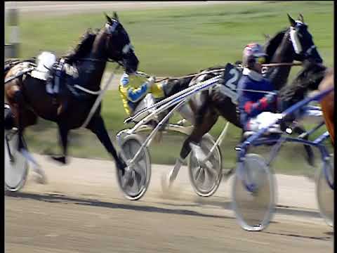 Trotto 24/05/2019 - 5ª corsa