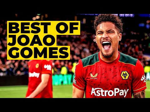 Our Samba star! | Watch the best Joao Gomes moments at Wolves!