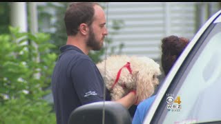 Dog Hailed As Hero For Alerting Residents To House Fire