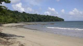 preview picture of video '13. Gordon Trace - Beaches of NE Trinidad'
