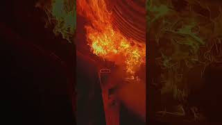 Download lagu 🔥🔥🔥Kehidupan Koki 👨‍🍳 | Status Kehidupan Koki 🍝🥂 #koki #makanan #dapur #celanapendek #celanapendekviral mp3