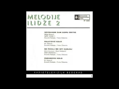 Ansambl Radojke i Tineta Zivkovica - Raletovo kolo - (Audio 1965) HD