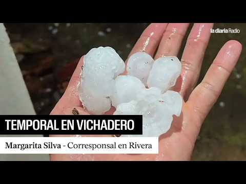 Margarita Silva sobre el temporal en Vichadero: más de 50 viviendas fueron afectadas
