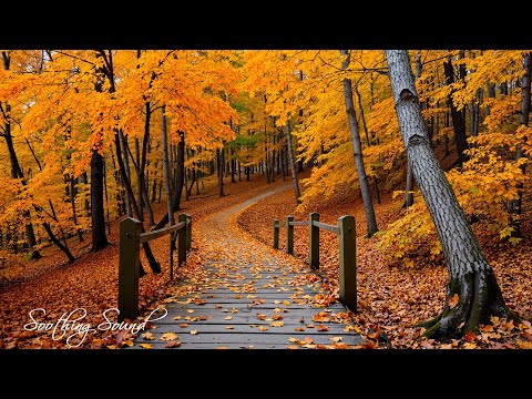 Beautiful Relaxing Music 🍁 Stop Overthinking, Stress Relief Music With Autumn Melodie